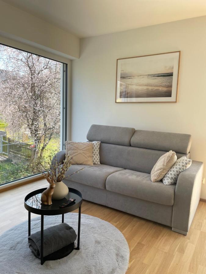 Luxury - Apartment Mit Balkon In Seenaehe 格蒙登 外观 照片